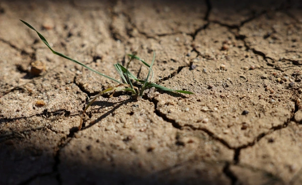 ถ้าโลกยังเมิน “ดิน”  ก็จะไม่มีวันชนะวิกฤตภูมิอากาศ