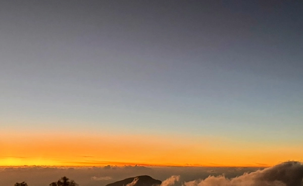 “ดอยอินทนนท์” หนาวจัด  เหมยขาบโผล่อวดโฉมครั้งที่ 20   