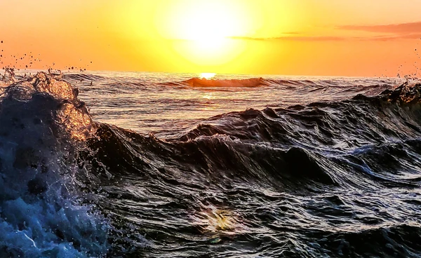 มหาสมุทรซีกโลกเหนือ อุ่นขึ้นเป็นประวัติการณ์ สัญญาณเตือนภัยธรรมชาติจากทะเล