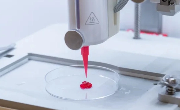 สวีเดนพัฒนาผิวหนังเทียม 3 มิติ พร้อมระบบหลอดเลือดที่ทำงานกับร่างกายได้จริง 