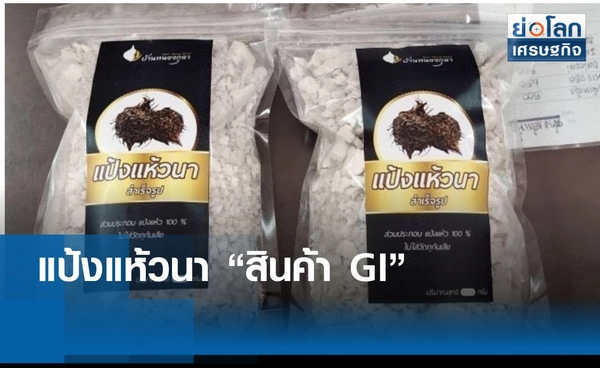 ขึ้นทะเบียน GI “แป้งแห้วนาหนองกุลาพิษณุโลก”