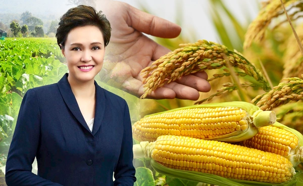 พณ. เตรียมมาตรการดูแลราคาข้าวและพืชผล  