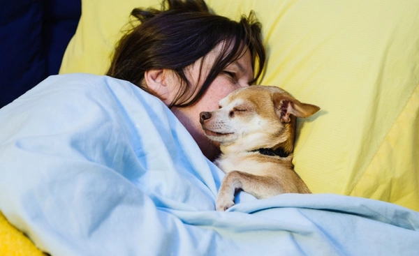 ผู้หญิงหลับสบายกว่าเมื่อมี สุนัข นอนข้างกาย มากกว่าคนรักชาย งานวิจัยจากสหรัฐฯ เผย