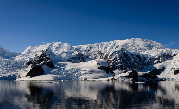 พบไมโครพลาสติก ในแมลงท้องถิ่นขั้วโลกใต้ สัญญาณเตือนไม่มีพื้นที่ปลอดมลพิษ