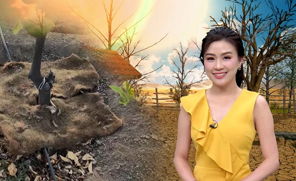 พรมจากเส้นผมมนุษย์ กู้วิกฤตภัยแล้งในชิลี