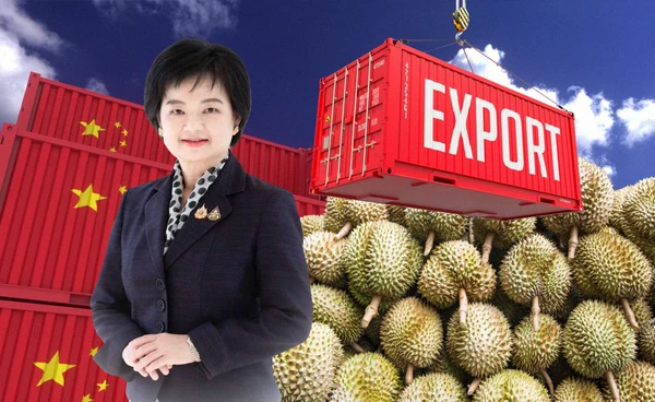 ไทยส่งออก"ทุเรียน"ผ่านด่านของ"จีน"ฉลุย