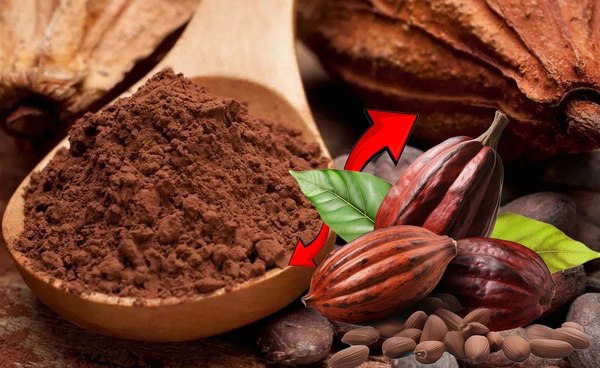 ราคาโกโก้ตลาดโลกชะลอหลังปริมาณผลิตเพิ่ม