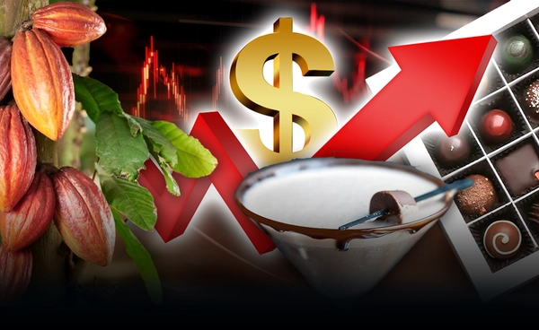 "ช็อกโกแลต" จะแพงจนกลายเป็นสินค้าหรู เหตุภาวะโลกเดือด!