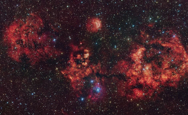 "ค้างคาวคอสมิก" ขนาดยักษ์กลางอวกาศต้อนรับวันฮาโลวีนปีนี้