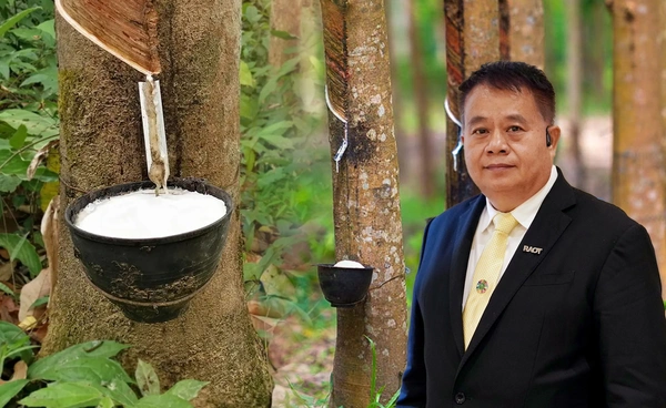 จัดสรรงบ 2,800 ล้านบาท เร่งช่วยเหลือชาวสวนยาง