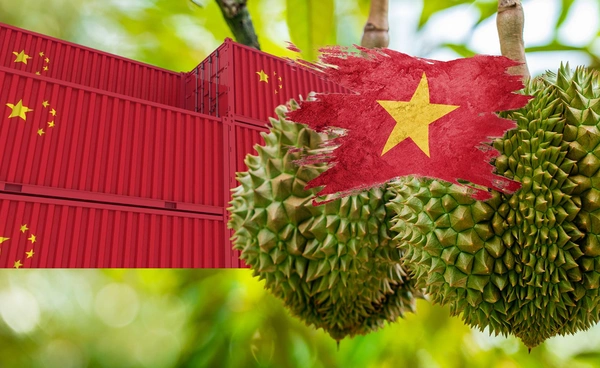 จีนลดนำเข้าทุเรียน กระทบเวียดนามหนักสุด