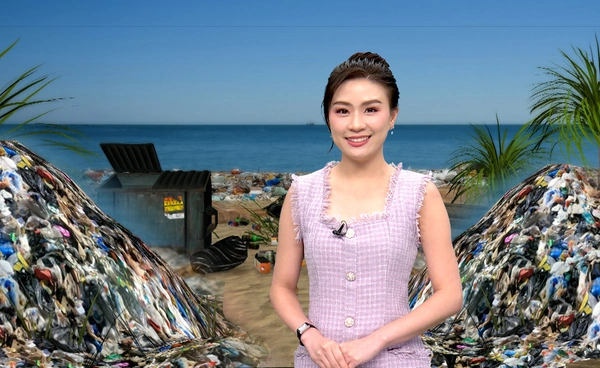 ขยะผ้าอ้อมล้นเมือง สหรัฐฯ ใช้เชื้อราช่วยย่อยสลาย