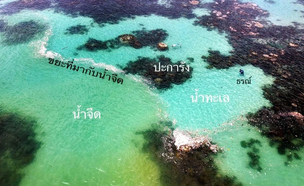 ดร.ธรณ์ ชี้น้ำท่วมภาคใต้ ส่งผลกระทบกับทะเลบ้าง ?