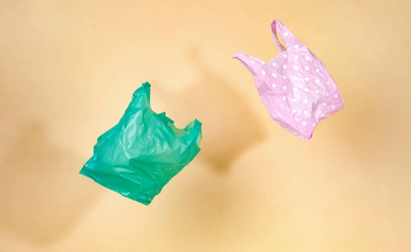 3 ก.ค. ของทุกปี วันปลอดถุงพลาสติกสากล