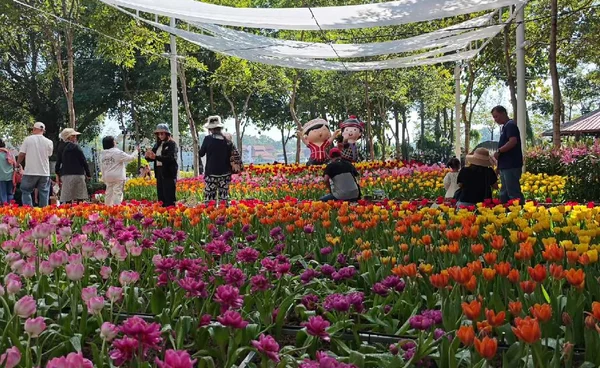 "อบจ.เชียงใหม่"จัดใหญ่ นทท.ทะลักชมงาน"ดอกไม้งามเชียงใหม่2568 " | เรื่องดีดีทั่วไทย | 2-12-68