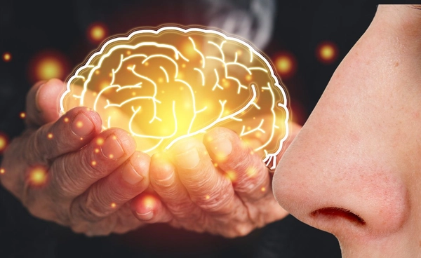 การสูญเสียการรับรู้กลิ่น สัญญาณเตือนระยะแรกของโรคอัลไซเมอร์