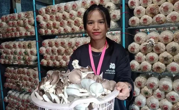 "อาชีพทำเงิน"สาวโรงงานเพาะเห็ดนางฟ้าภูฐาน เก็บขายได้ทุกวัน  | เรื่องดีดีทั่วไทย | 15-10-68