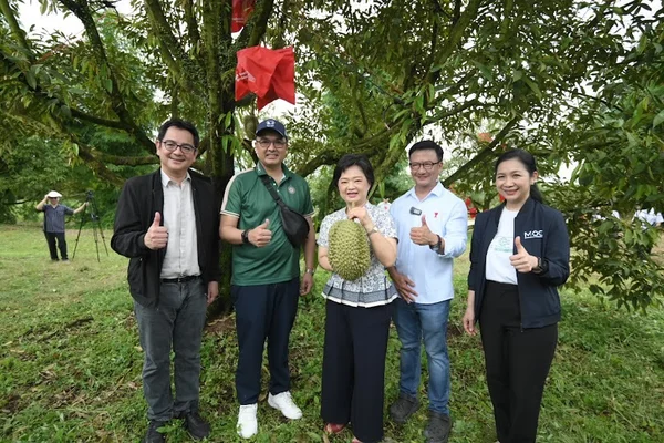 "DITP" ลุยระยอง-จันทบุรี ปั้นผลไทยสู่เวทีโลก เล็งใช้ AI พัฒนาคุณภาพผลผลิต