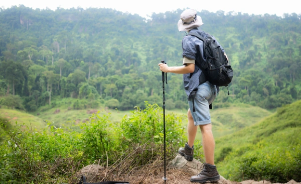 อช.ดอยสุเทพเตรียมเปิด “โรงเรียนนักเดินป่า” พ.ย.นี้ เรียนรู้ธรรมชาติจากผืนป่าจริง
