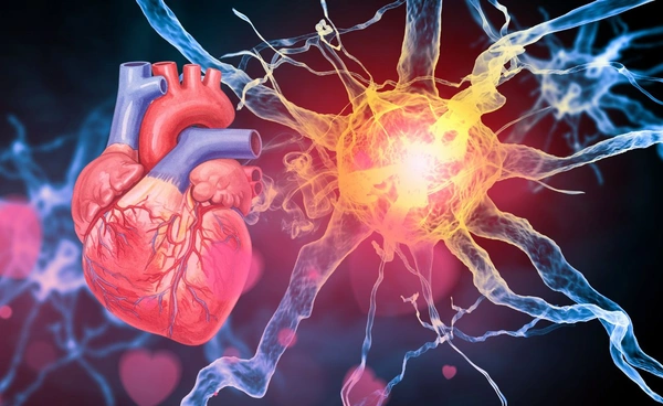 ฮอร์โมนแห่งความรัก อาจช่วยรักษาโรคหัวใจได้จริง