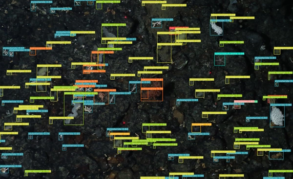 AI ไขความลับสิ่งมีชีวิตใต้แอนตาร์กติกา ย่นเวลาวิเคราะห์จาก “ปี” เหลือ “วินาที”