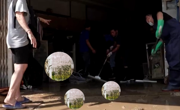  "เชื้อราซ่อนพิษ" ล้างบ้านหลังน้ำท่วม เสี่ยงติดเชื้อโรคถึงชีวิต