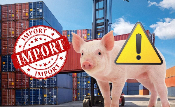 "สมาคมผู้เลี้ยงสุกรแห่งชาติ"ขวางรัฐเปิดนำเข้าเนื้อหมูจาก"สหรัฐต่อรองภาษี"