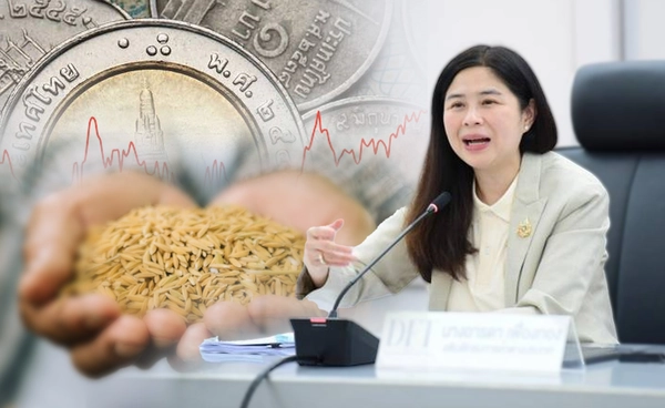 บาทแข็ง ฉุดส่งออกข้าวไทย 8 เดือนร่วงหนัก