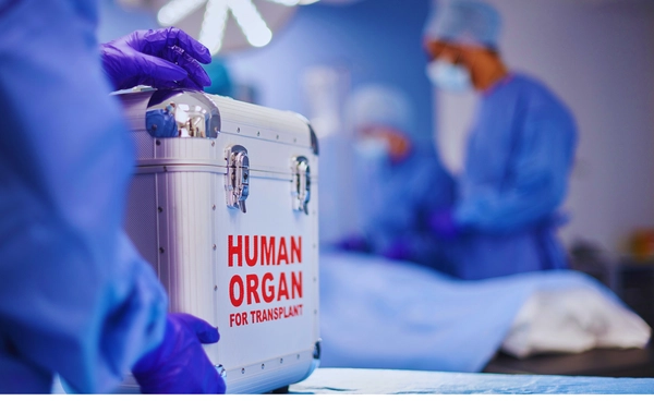 รู้จัก "ภารกิจหัวใจติดปีก" ทำไมการส่งอวัยวะต้องเร็วที่สุด