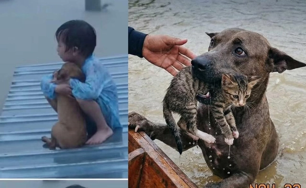 วิกฤตภาพ AI น้ำท่วมหาดใหญ่ ลวงสายตาสังคม–กระทบงานกู้ภัย 