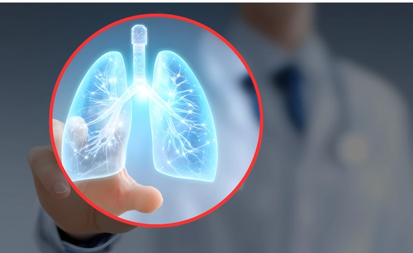 ปอดจิ๋ว เพาะเลี้ยงสำเร็จครั้งแรก พร้อมระบบหลอดเลือดทำงานได้จริง