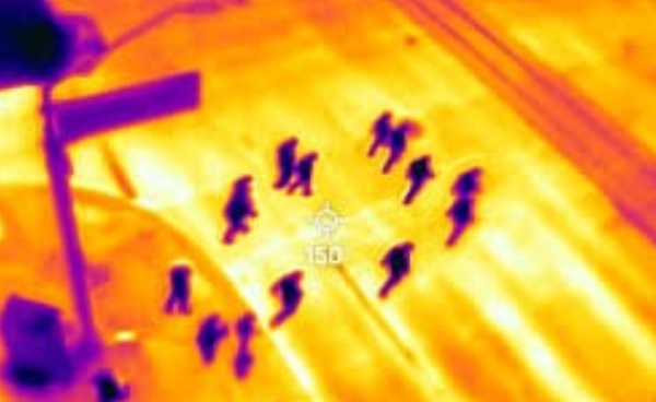 ฟีนิกซ์เดือดทะลุปรอท! เมืองร้อนที่สุดในสหรัฐฯ กับวิกฤตโลกร้อนที่ไม่อาจมองข้าม