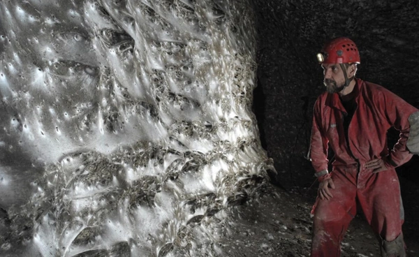 นักวิจัยพบ "รังแมงมุมยักษ์" 1 แสนตัว อยู่ร่วมกันในถ้ำกำมะถันโดยไม่ต้องพึ่งแสงจากดวงอาทิตย์