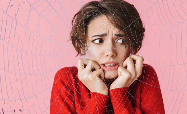เจอแบบนี้หนีให้ไกล ความสัมพันธ์เป็นพิษแบบ Spider-webbing