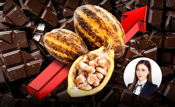 มีเงินถึงจะกินได้ ? "โกโก้" จ่อขึ้นแท่น "สินค้าฟุ่มเฟือย" ราคาพุ่งทะยาน 3 ปี +230%   