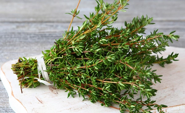 รู้ได้ก่อนแพร่เชื้อ !! อุปกรณ์ตรวจจับไข้หวัดใหญ่ ใช้ “รสชาติ” เช็กอาการ