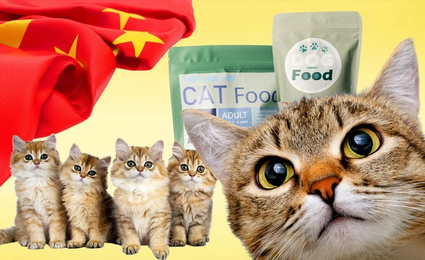 ส่อง "เศรษฐกิจแมว" ตลาดจีนโตแรงแซงน้องหมา