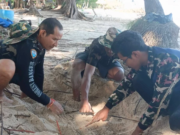 อท.อ่าวสยาม พบไข่เต่าทะเลรังที่ 6 ของปีนี้ สัญญาณนิเวศฟื้นตัว   