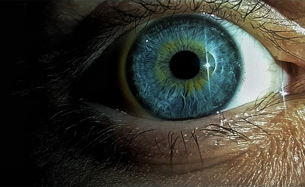 ผลวิจัยชี้ "รูม่านตา" บ่งบองถึงสัญญาณลับแห่งความเร้าอารมณ์ที่เราอาจไม่เคยรู้
