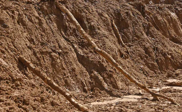 เช็กด่วนแจ้งเตือน 7 จังหวัด เฝ้าระวังแผ่นดินถล่ม 3 - 5 กรกฎาคม 2568 