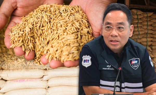 พาณิชย์ ปลื้ม! "ราคาข้าว" ดีดตัวขึ้นยกแผง ทั้งเปลือกเจ้า-หอมมะลิ