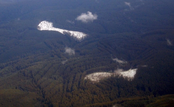 วิกฤตหิมะออสเตรเลีย ยอดเขาเต็มแต่พื้นล่างว่างเปล่า