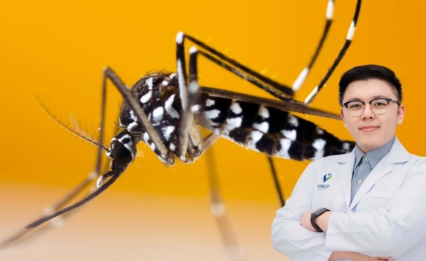 คนไทยป่วยไข้เลือดออกทะลุแสน 2 ปีซ้อน