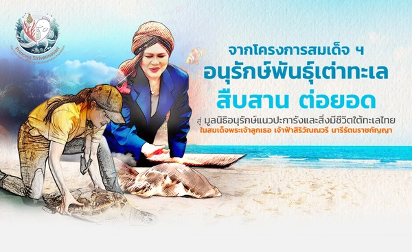 จากโครงการสมเด็จฯ อนุรักษ์พันธุ์เต่าทะเล สืบสาน ต่อยอด สู่มูลนิธิอนุรักษ์แนวปะการังและสิ่งมีชีวิตใต้ทะเลไทย