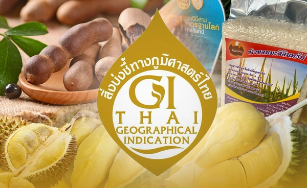 กรมทรัพย์สินฯ เปิด 10 สินค้า GI ไทยยอดฮิต