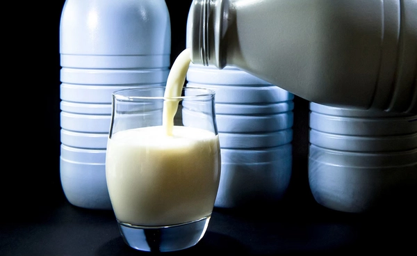 6 ความเชื่อผิด ๆ เกี่ยวกับการดื่มนมวัว  นมจากโปรตีนพืชดีกว่านมวัวจริงหรือ?