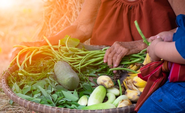 โลกร้อนเขย่าวงการเกษตร ผึ้งหยุดทำงาน-ผลไม้ไม่ติดผล ไทยเสี่ยงภัยพิบัติซ้ำซ้อน