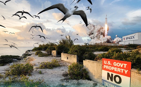 สหรัฐฯ ยกเลิกแผนสร้างฐานจรวดบนเกาะอนุรักษ์นก หลังถูกวิจารณ์กระทบสิ่งแวดล้อม