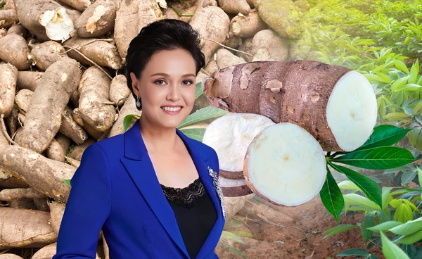 เคาะ4มาตรการรักษาเสถียรภาพราคามัน