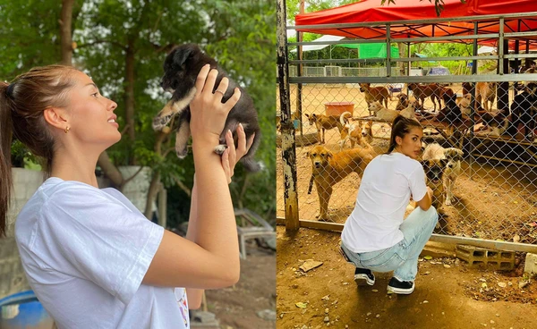 คนสวยใจดี "แอนโทเนีย" ช่วยบริจาคมอบสิ่งของจำเป็นแก่สุนัขจรจัด บ้านพักพิงยองแยง จังหวัดนครราชสีมา